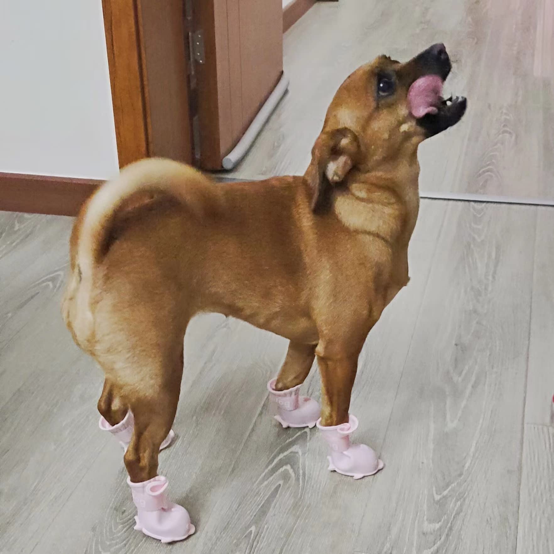 Waterproof Dog Boots for Small Dogs - Snow & Rain Protection (Pink, 4Pcs) - Perfect for Teddy Pomeranian & Bichon Outdoor Walks