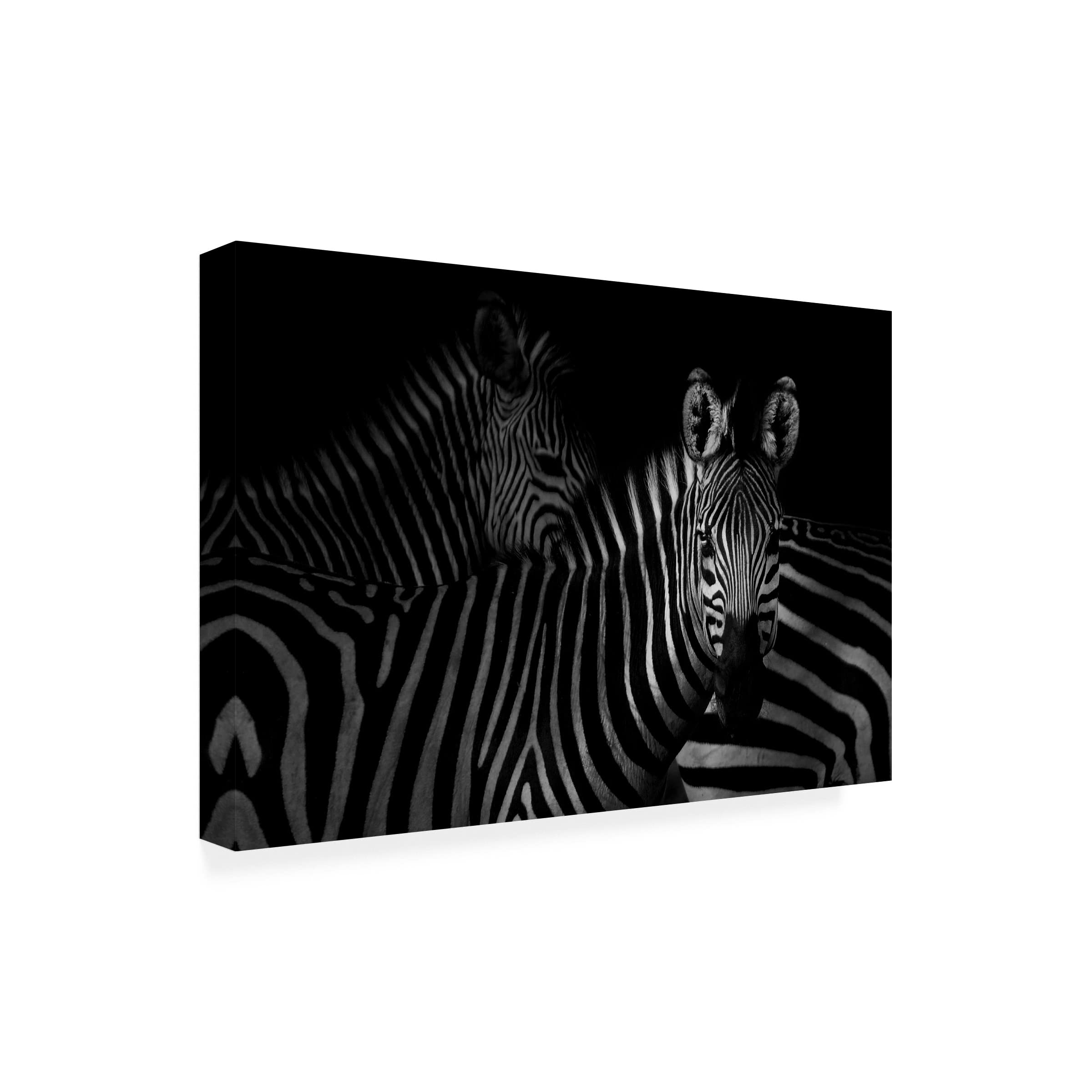 Trademark Fine Art 'Stripped Stare' Canvas Wall Art by Antonio Grambone - Modern Abstract Painting for Living Room, Bedroom & Office Decor
