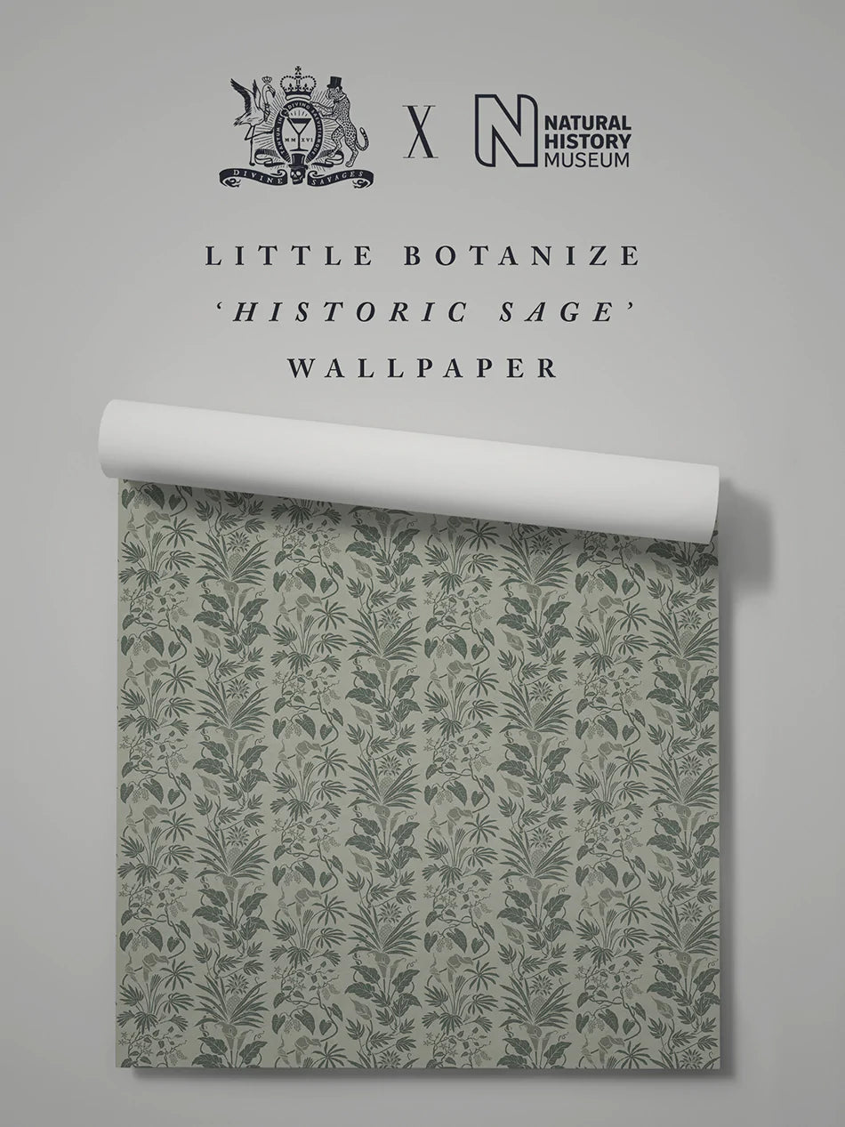 Historic Sage