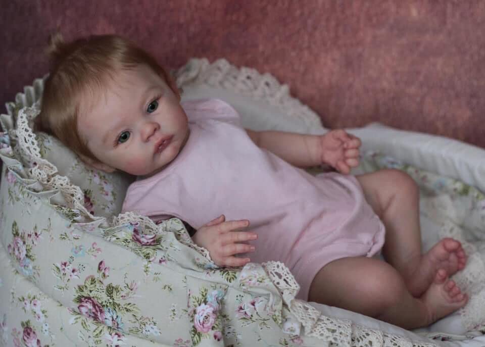 19 Inch Realistic Reborn Baby Doll - Lifelike Silicone Newborn Girl with Weighted Soft Cloth Body & Rooted Hair | Handmade Collectible Doll for Nursery Decor, Photography Props, Gift Giving and Therapy Use