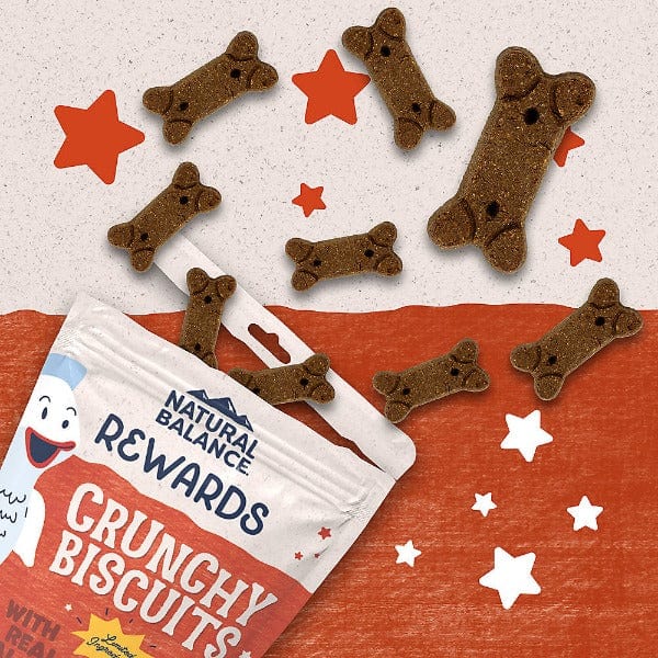 Natural Balance Crunchy Biscuits with Real Salmon Recipe Dog Treats, 14oz – Healthy Snacks for Small & Large Dogs – Perfect for Training, Rewards & Dental Care