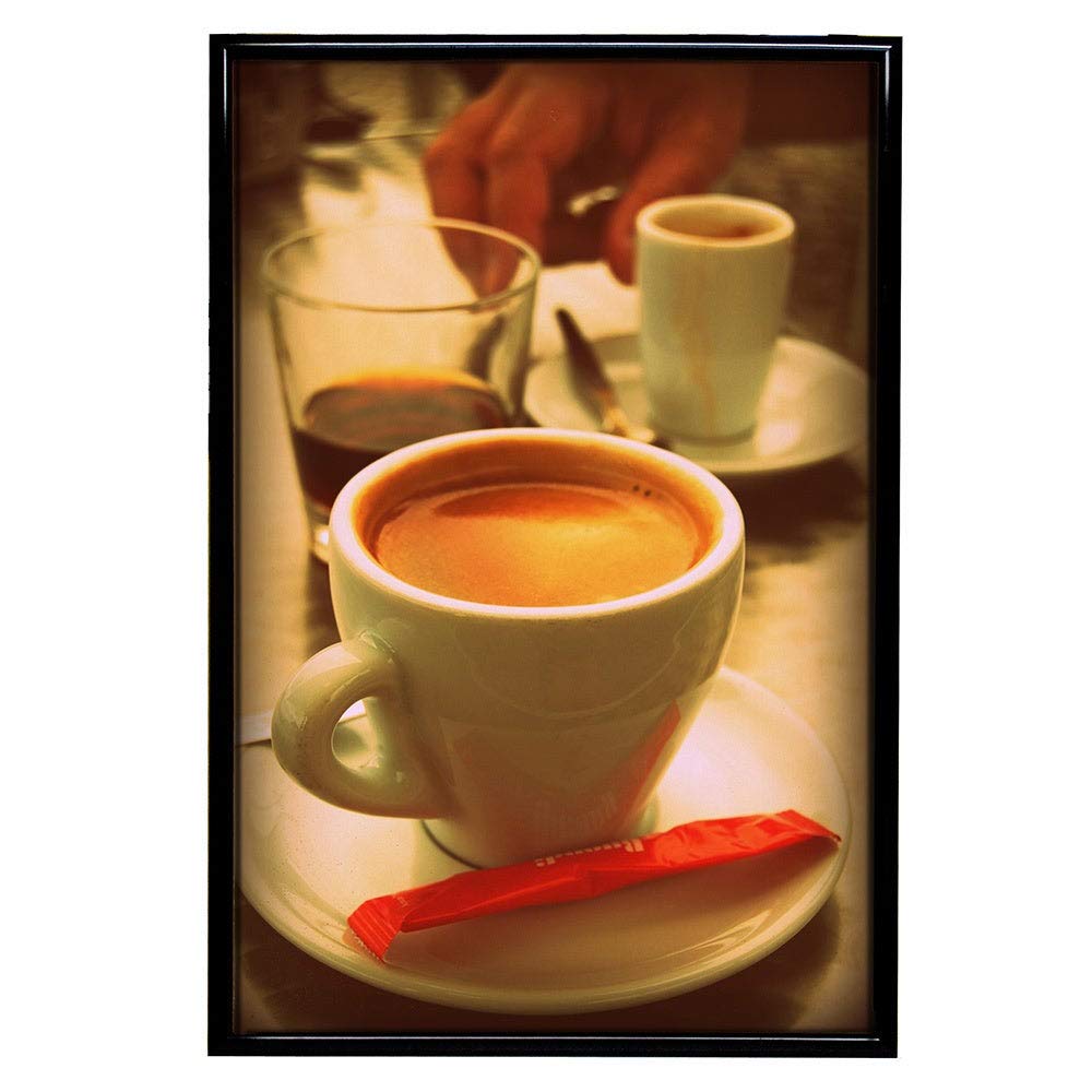 Frame USA 27x41 Deluxe Polystyrene Plastic Poster Frame (Black) - American Made - Perfect for Home Decor, Office Displays & Artwork Protection