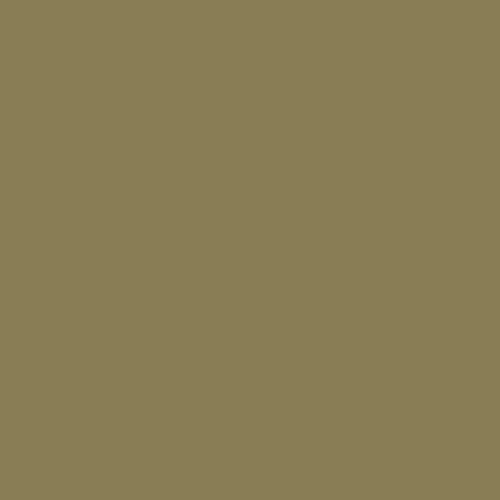 24 - Olive