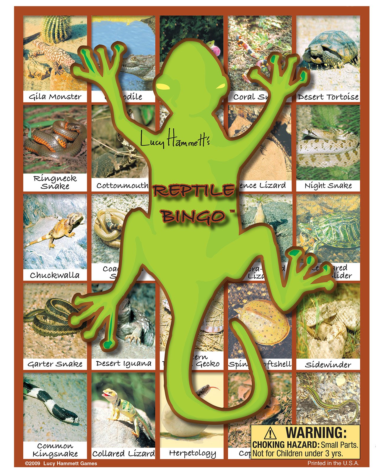 Reptile Bingo Game - Fun Animal Learning Activity for Kids & Family Game Night