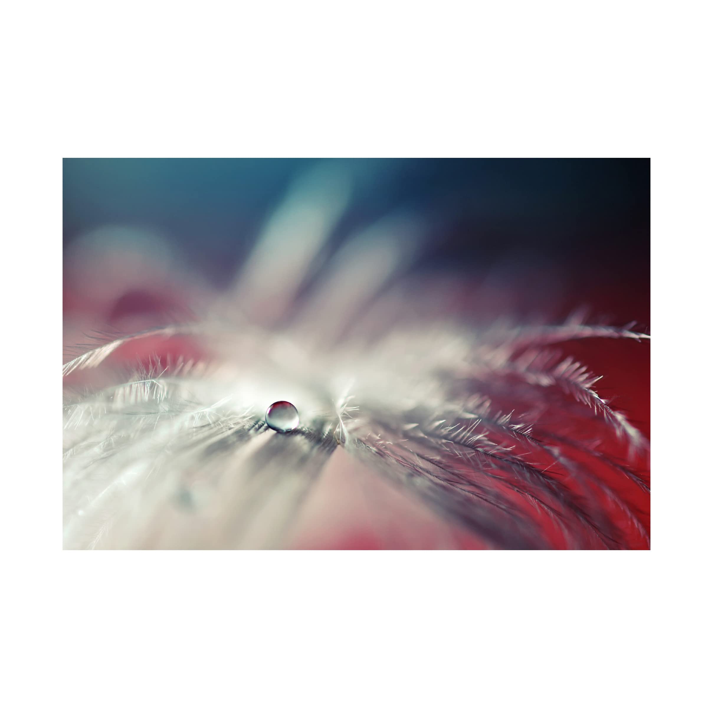 Trademark Fine Art 'Stories Of Drops' Canvas Wall Art by Dmitry Doronin - Modern Abstract Painting for Living Room, Bedroom & Office Decor