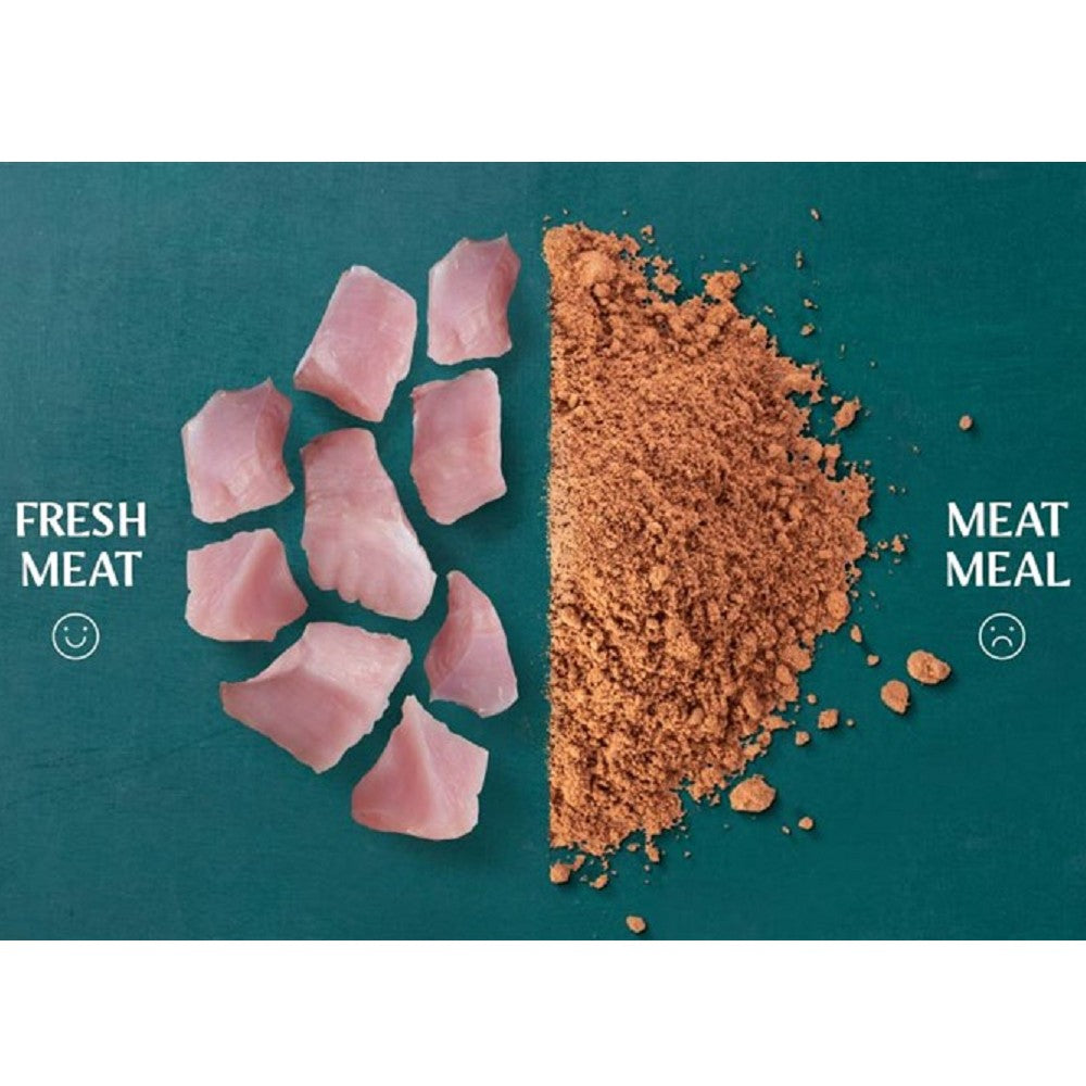 Premium Cold-Pressed Turkey Adult Dog Dry Food - Grain-Free, High-Protein Kibble for Optimal Health | Ideal for Active & Senior Dogs | Perfect for Daily Meals & Training Treats