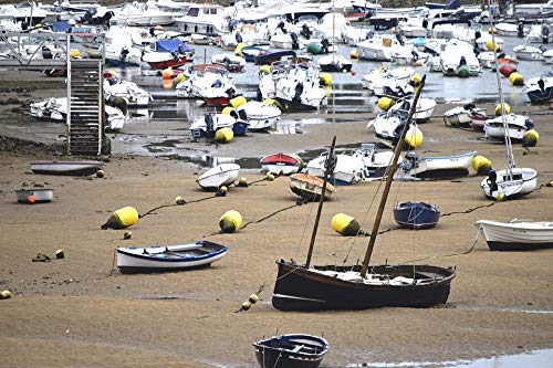 20x30 Inch Laminated Sea Shipwreck Costa Bizkaia Wall Poster - Vibrant Colors & HD Print - Perfect for Living Room, Bedroom, Office Decor - Fits Standard Frames
