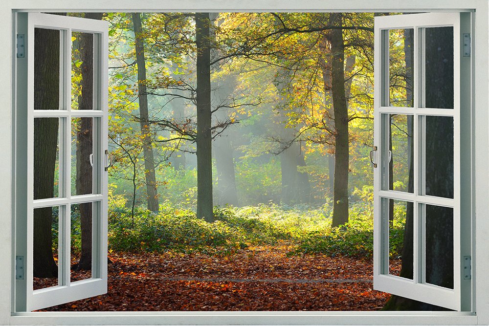 Peel & Stick Fake Window Wall Decal - Autumn Forest Landscape (12x8 Inches) - Self-Adhesive Window Film for Home Decor, Office, Bedroom & Nursery