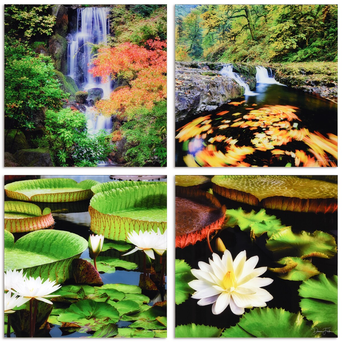 Floating Water Lilies Frameless Wall Art - Tempered Glass Reverse Printed Nature Scenes for Home & Office Decor | Modern Living Room, Bedroom, Office Wall Decor