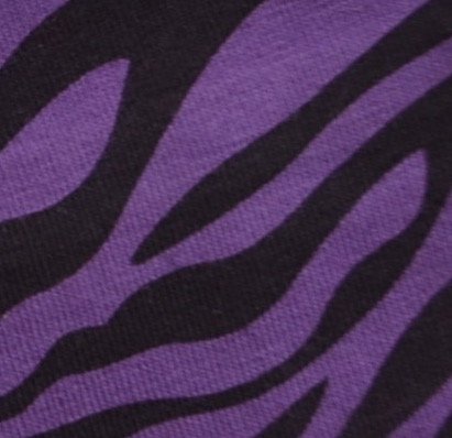 Purple Zebra