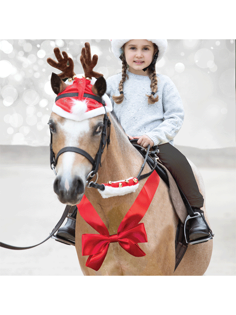 Christmas Horse Chest Bow - Elegant Festive Horse Decor for Holiday Celebrations, Perfect for Christmas Tree, Wreaths, and Gift Wrapping