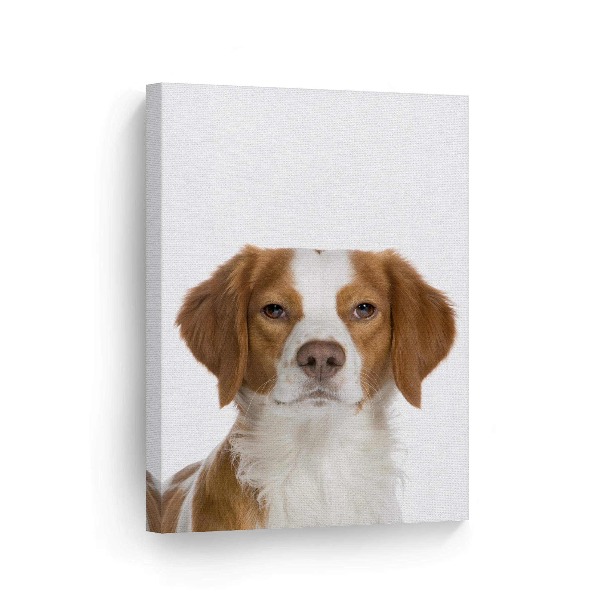 Epagneul Breton Dog Portrait Canvas Print - Brown & White Woodland Animal Wall Art for Pet Lovers, Home Decor (40x30 Inches Rolled) | Perfect for Living Room, Bedroom, Nursery & Dog Owner Gifts