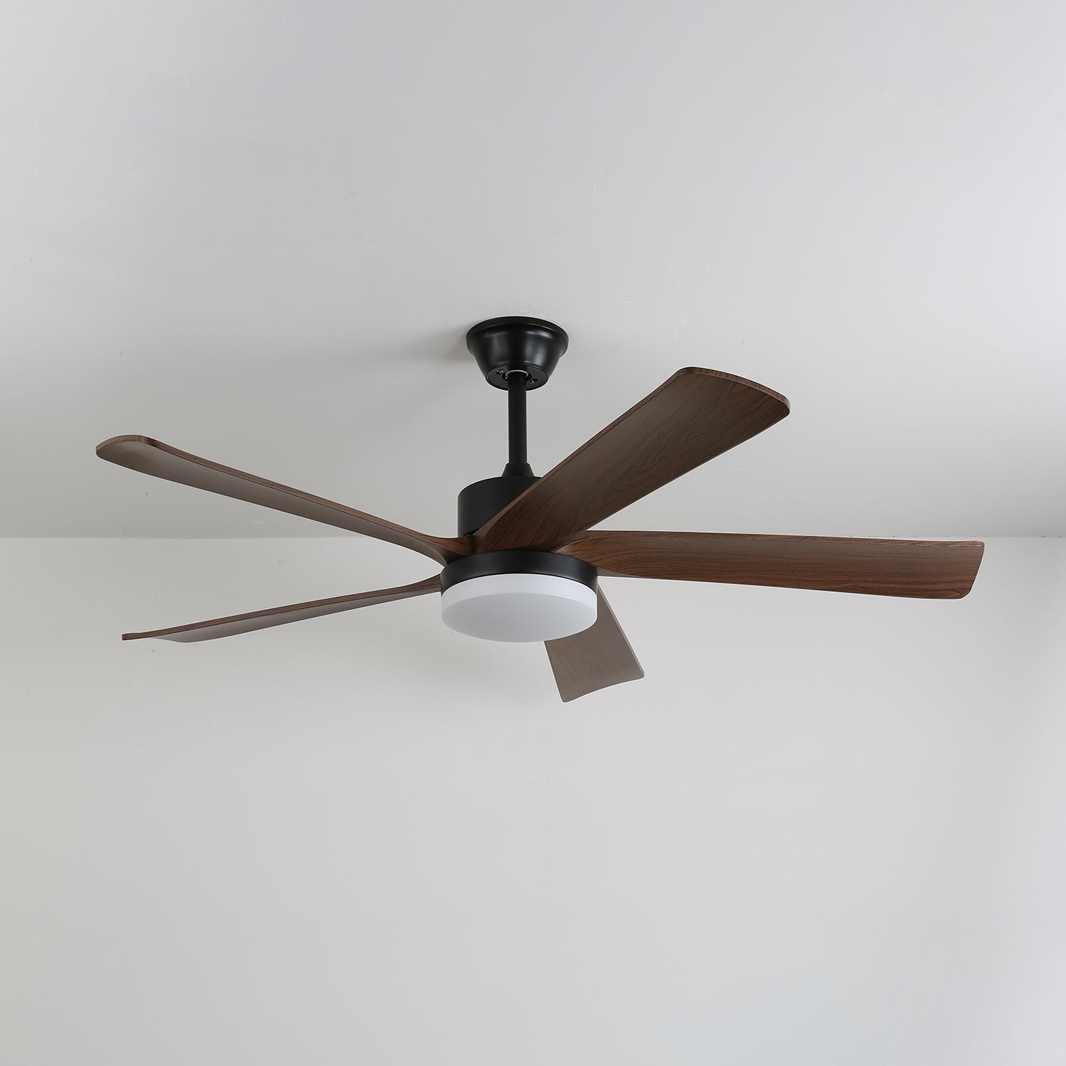 Walnut Wood & Black