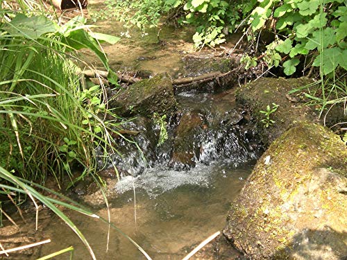 20x30 Inch Laminated Waterfall Poster - Vibrant Colors & High-Quality Print - Perfect for Home Decor, Office Wall Art & Gift Giving - Fits Standard Frames