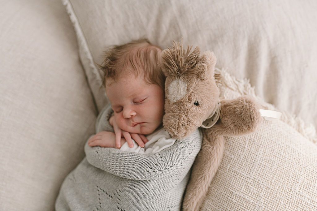Harvey the Horse Hoochy Coochie Plush Toy - Soft Stuffed Animal for Kids & Collectors | Perfect for Nursery Decor, Birthday Gifts & Cuddling