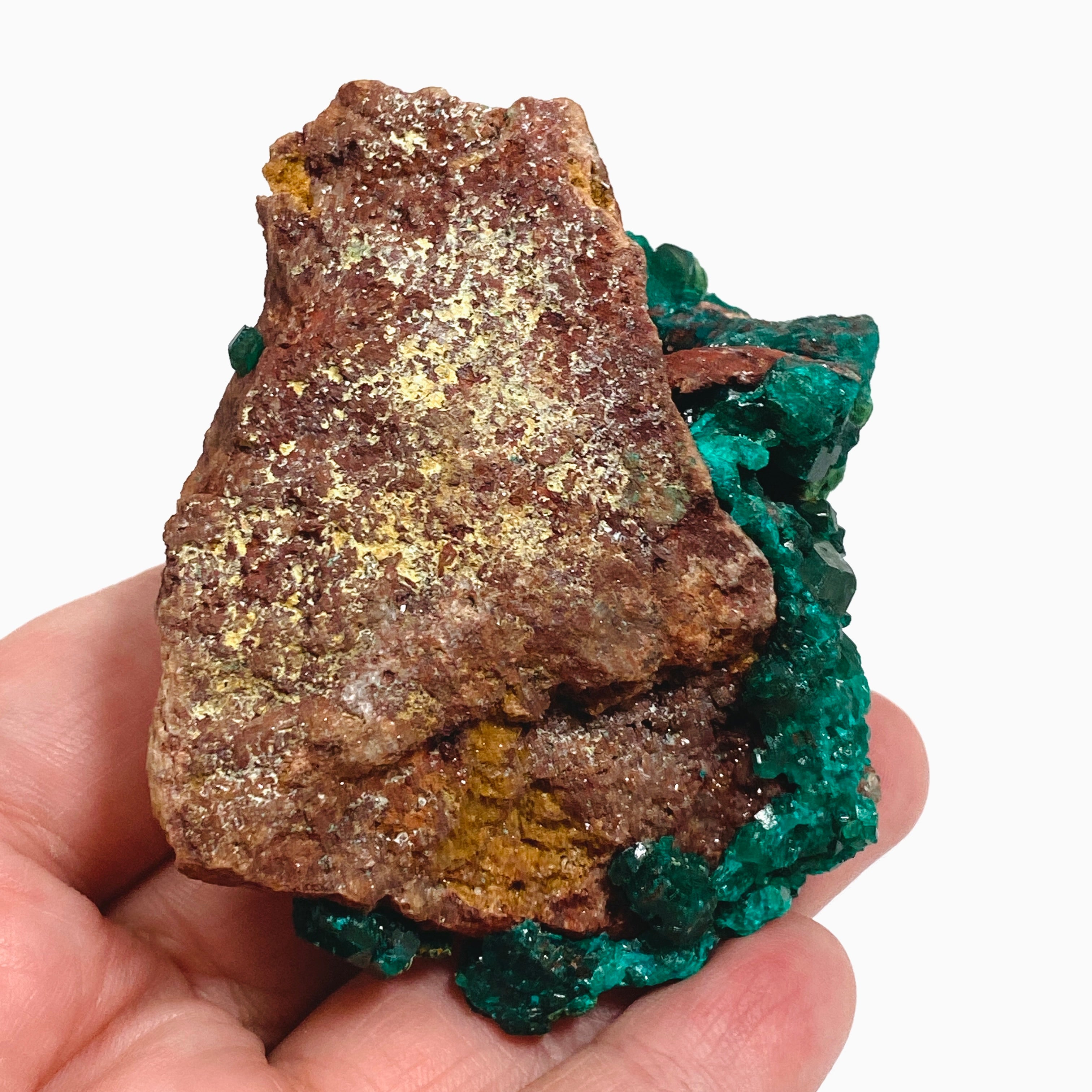 Natural Dioptase with Malachite Crystal Specimen from Congo CR3746 - Perfect for Mineral Collectors & Home Decor