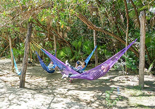 Belize Bacab Jungle Park Hammock Poster - 20x30 Inch Laminated Wall Art with Vibrant Colors - Perfect for Home Decor, Living Room, Bedroom & Office Spaces