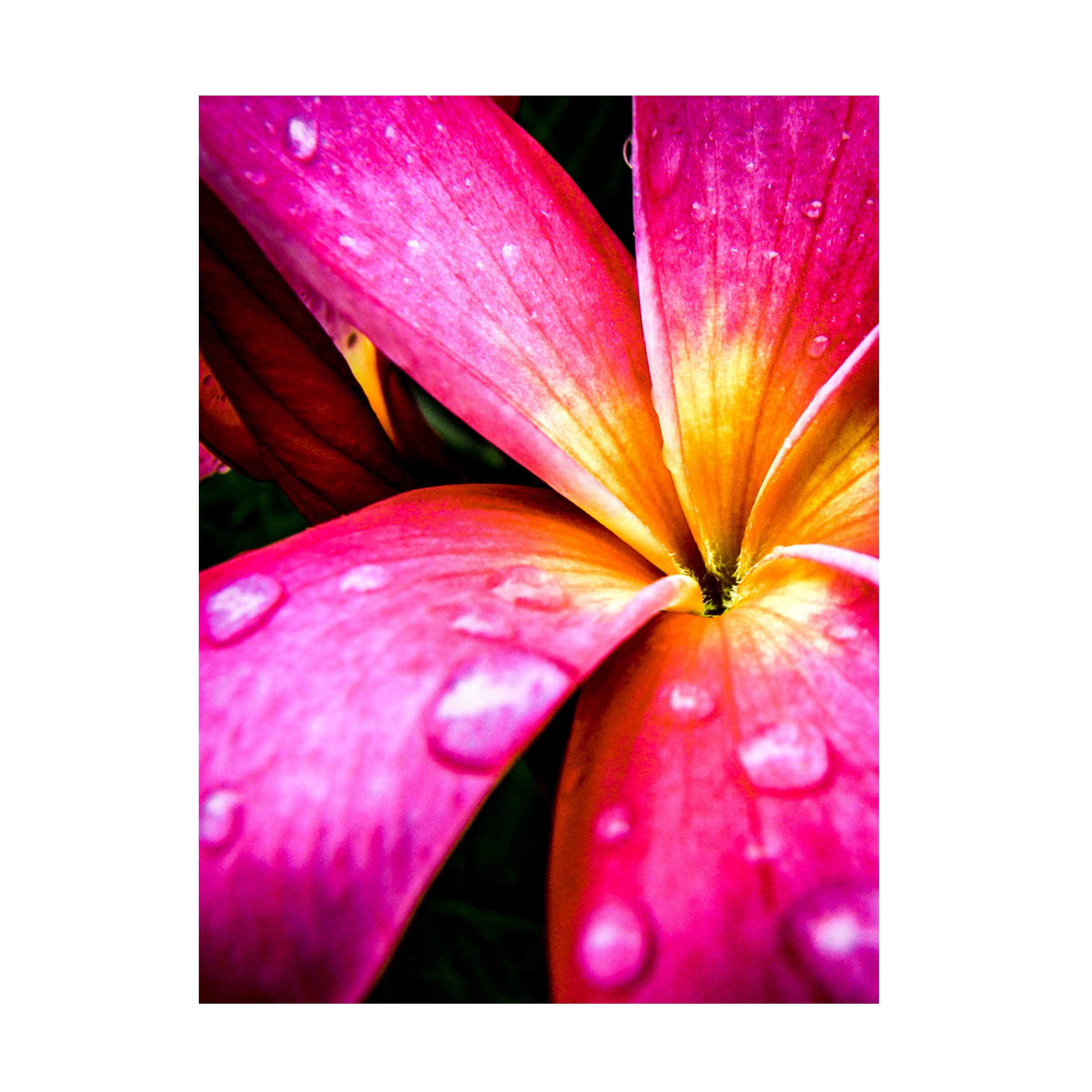 Trademark Fine Art 'Pink Over Yellow' Abstract Canvas Painting by Rotem Ganor - Modern Wall Art for Living Room, Bedroom & Office Decor