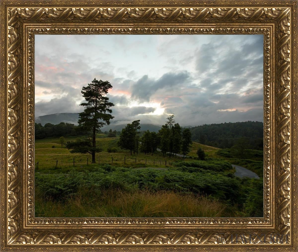 Plate 3 Tarn Hows Above Ambleside - Premium Decorative Wall Plate for Home & Office Decor | Perfect for Living Room, Dining Room, or Gift Giving
