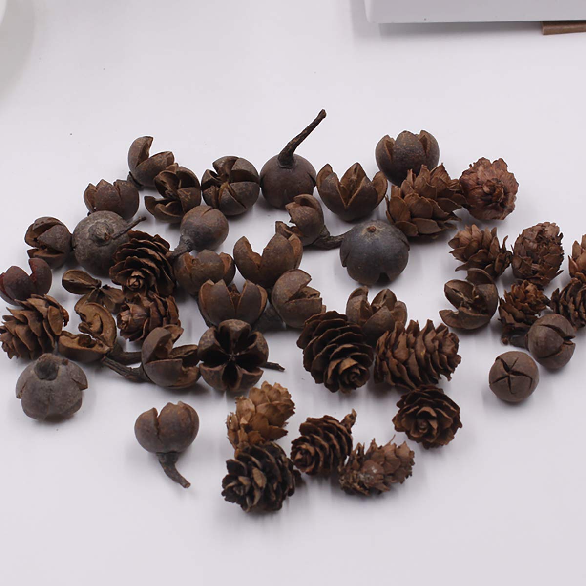 20Pcs Natural Dried Acorn Caps for DIY Crafts - Fall & Winter Holiday Decorations - Perfect for Christmas, Thanksgiving, Home Decor, Wreath Making & Seasonal Centerpieces