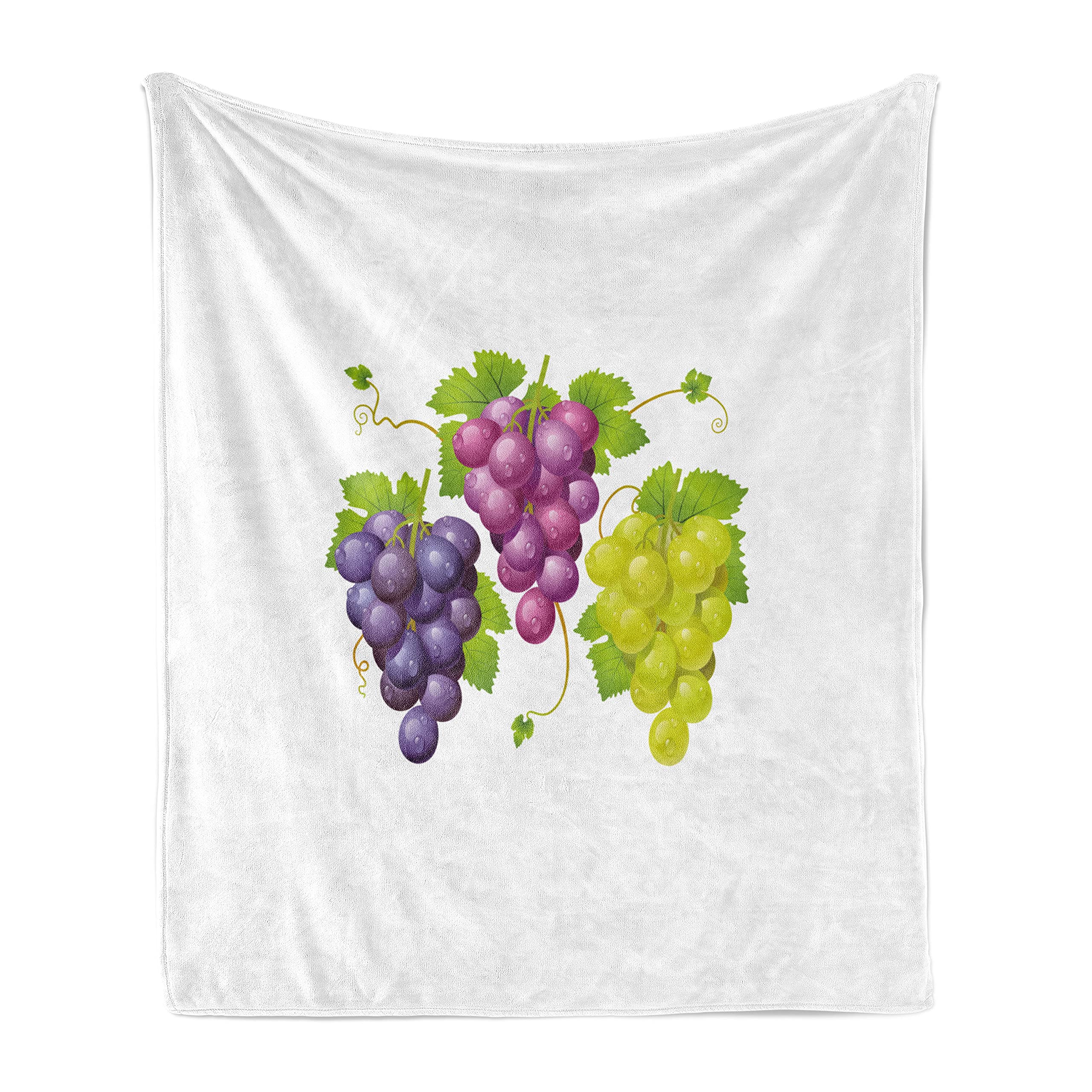 Ambesonne Vineyard Fleece Throw Blanket - 70