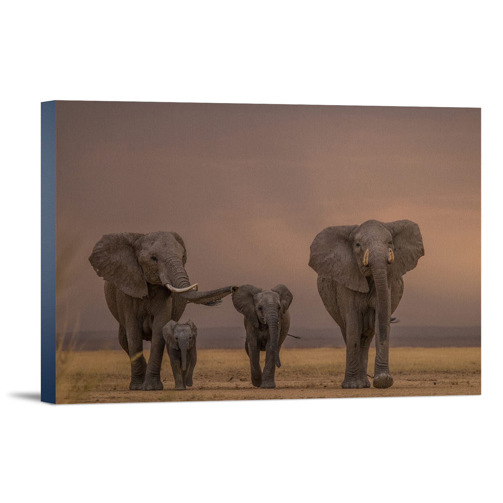 Lantern Press African Elephant Family Walking Wall Art - 16x24 Wrapped Canvas Print, Wildlife Home Decor for Living Room, Bedroom & Office
