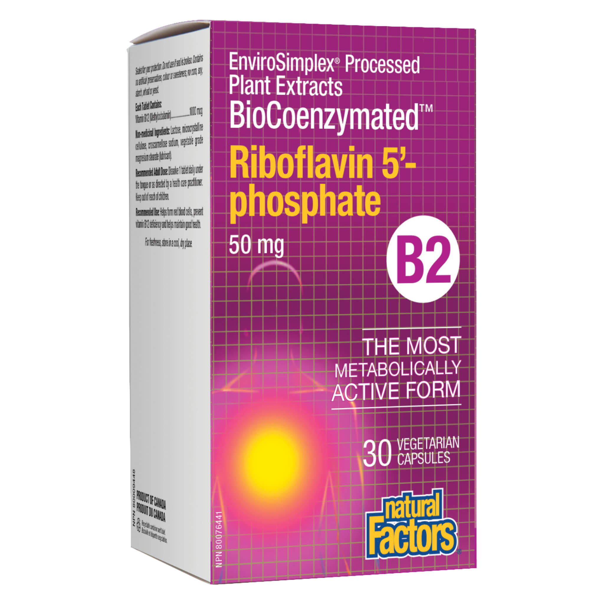 BioCoenzymated B2 Riboflavin 5' Phosphate 50mg Supplement - Supports Energy Metabolism & Cellular Health | Ideal for Athletes & Active Lifestyles