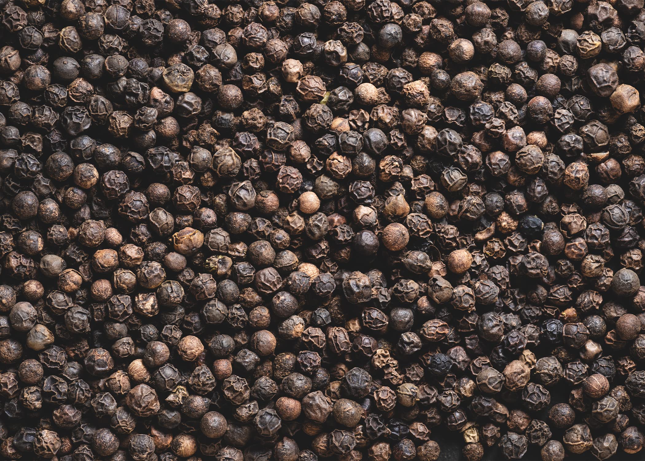 Premium Whole Black Peppercorns for Grinder Refill - 9.6oz | Fresh & Aromatic Spice for Cooking, Baking & Seasoning | Perfect for Steak, Pasta & Salad Recipes