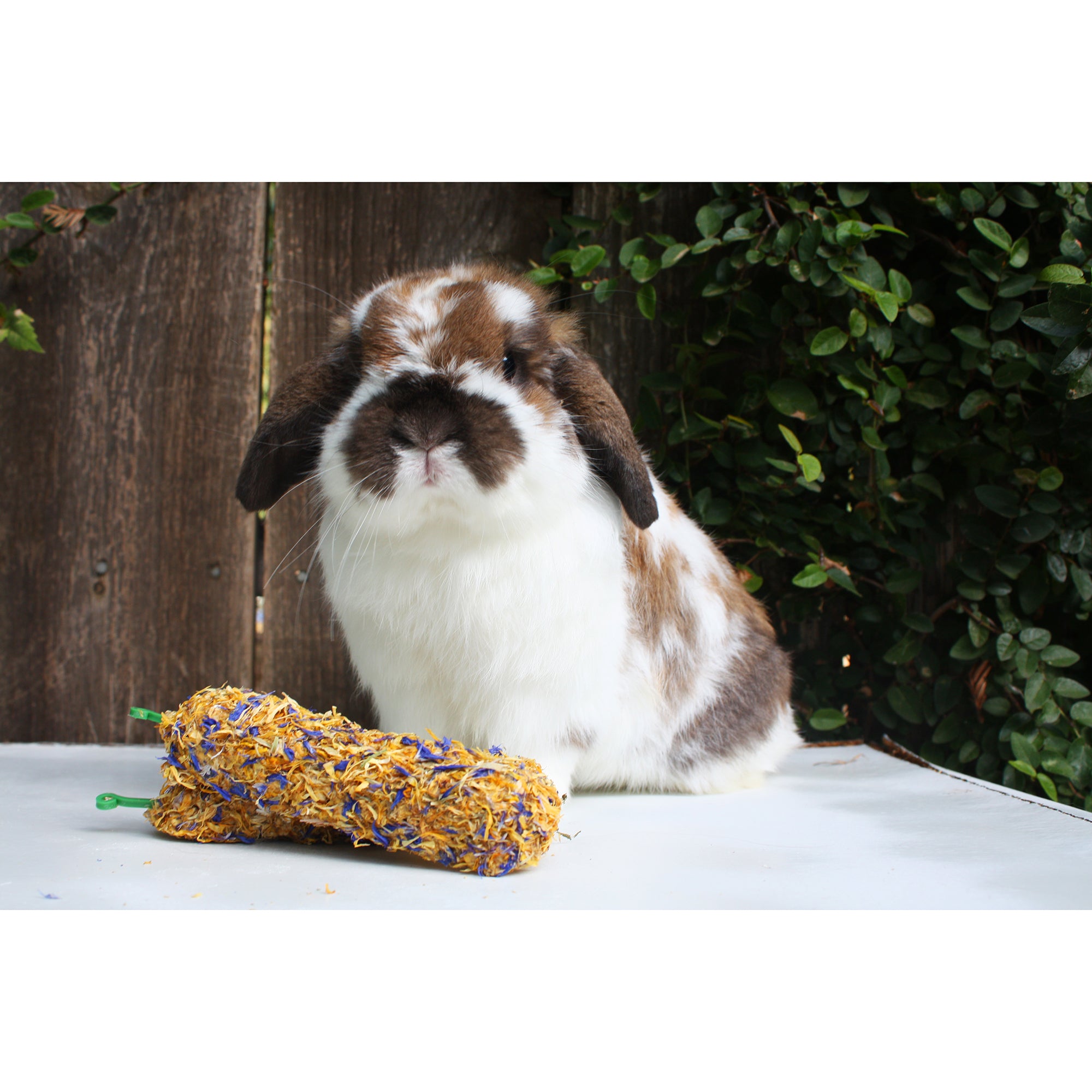 Natural Dog Chew Sticks with Marigold for Dental Health - Long-Lasting Puppy Teething Treats for Small & Large Breeds - Perfect for Training, Anxiety Relief, and Outdoor Adventures