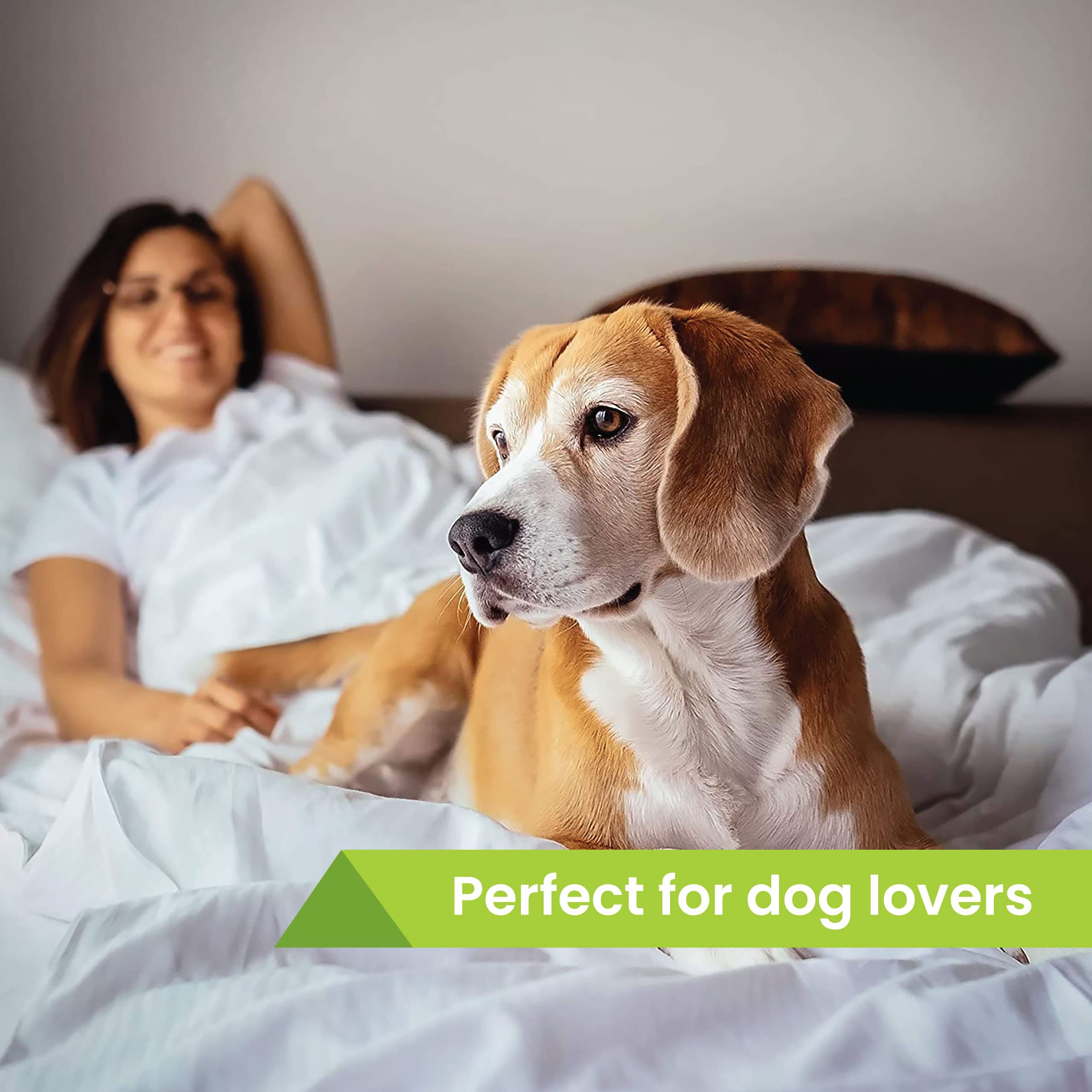 Dog Friendly Hotel Stay Gift Voucher - Pet-Friendly Getaway Experience at 70+ UK Locations | Perfect for Couples Retreats, Anniversary Gifts, Retirement Presents & Special Occasions