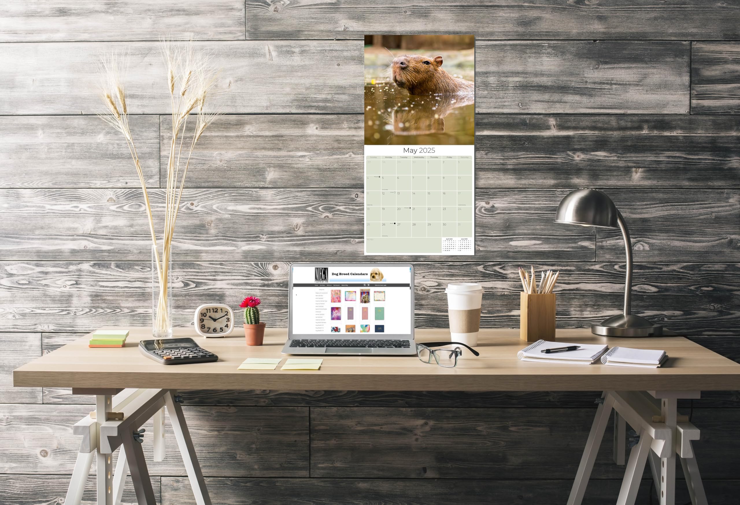 2024-2025 Capybara Wildlife Wall Calendar - 12