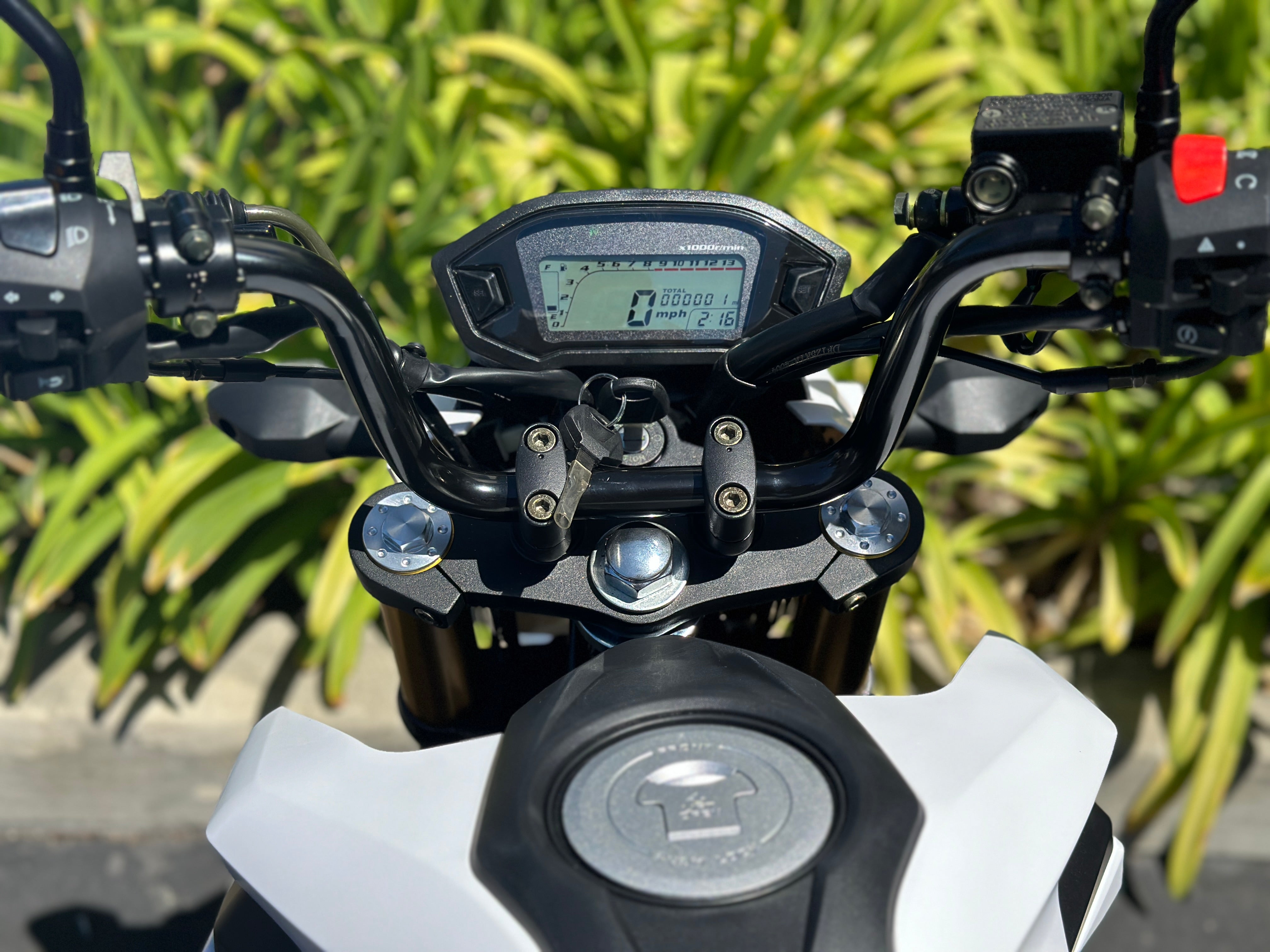 Venom X20 125cc 4-Speed Gas-Powered Motorcycle - Dirt Bike for Adults & Teens - Off-Road, Trail Riding & Commuting