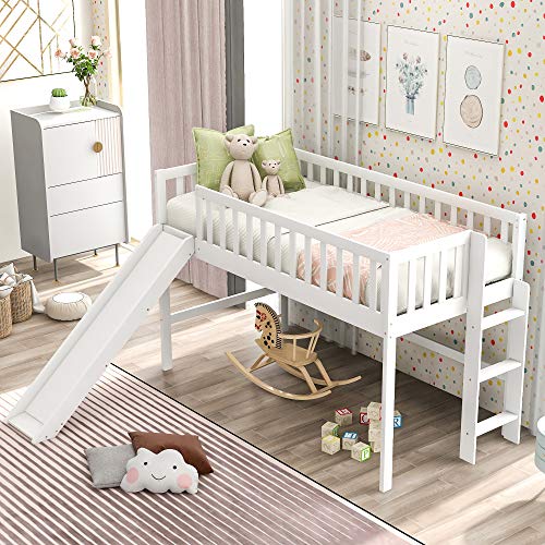 White+pine Wood