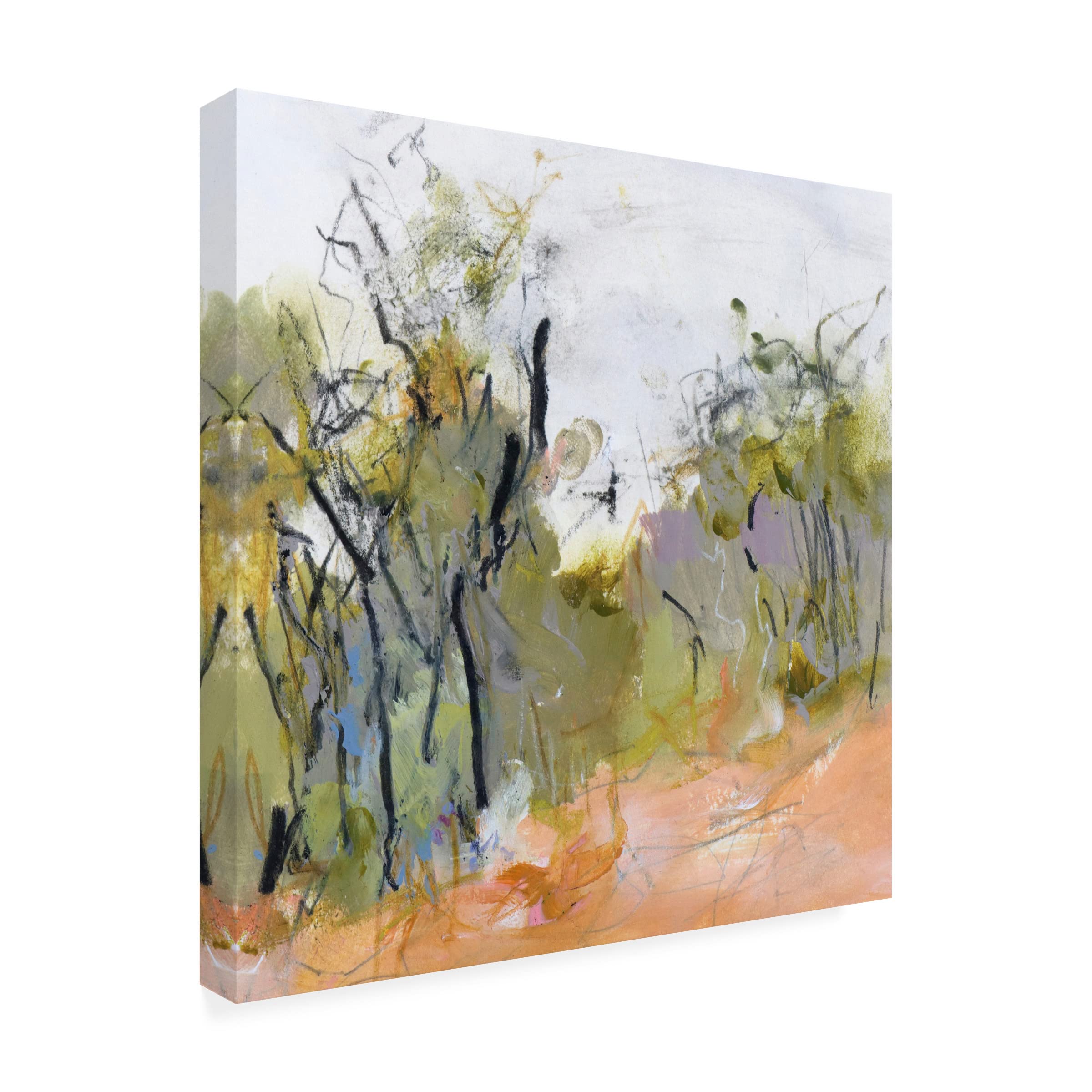 Trademark Fine Art 'Fire Trail to Hanging Rock' Canvas Wall Art by Ann Gordon - Stunning Landscape Painting for Living Room, Bedroom & Office Decor