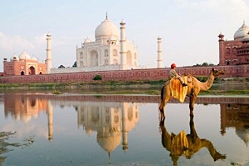 18x24 Young Boy on Camel at Sunset Taj Mahal Agra India Wall Art Print by Bill Bachmann - Perfect for Home Decor, Office & Classroom