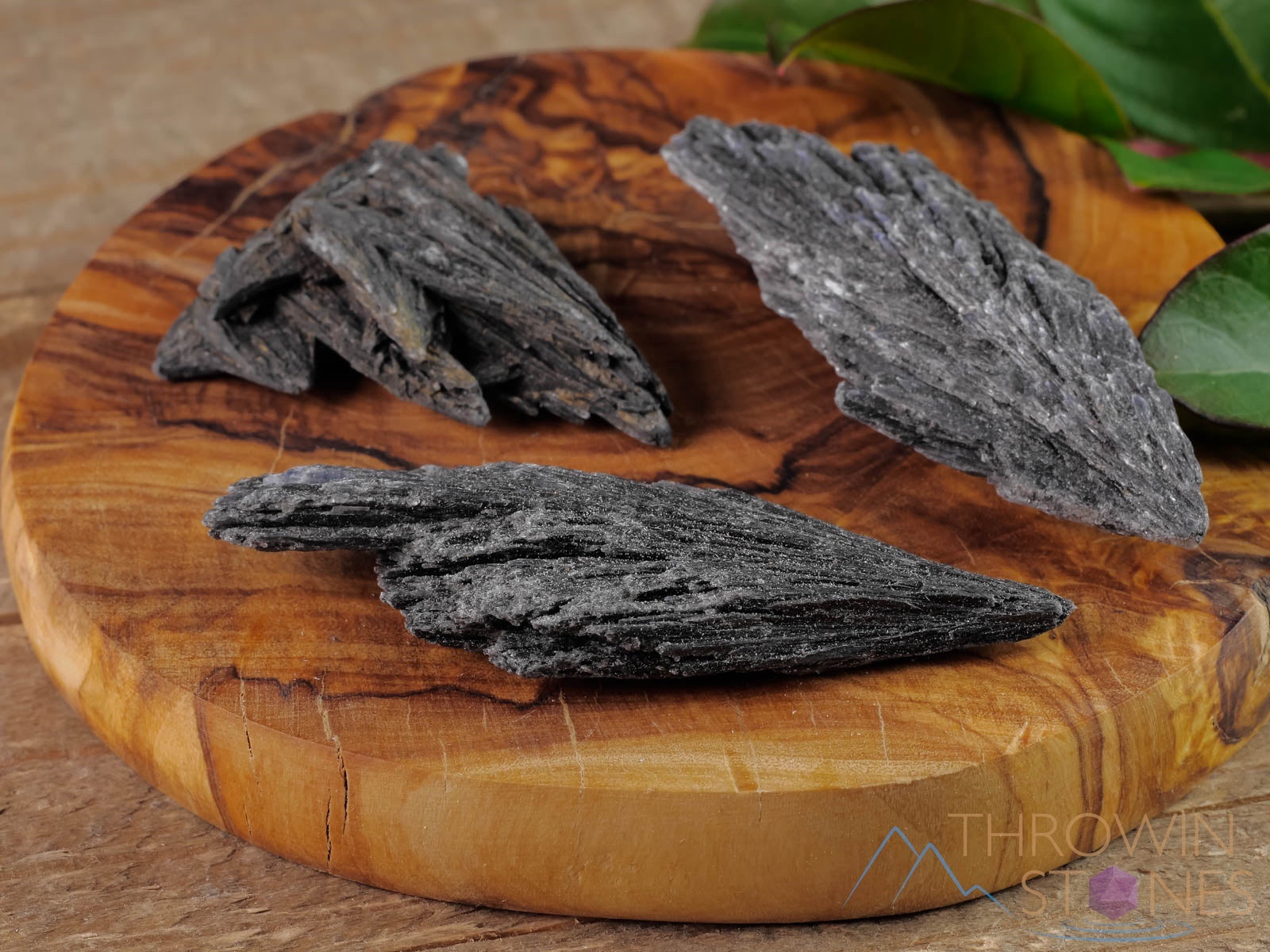Natural Black Kyanite Raw Crystal Fan - Healing Stone for Meditation, Energy Cleansing & Home Decor | Metaphysical Crystal Collection | E0836 | Perfect for Reiki, Feng Shui & Spiritual Healing