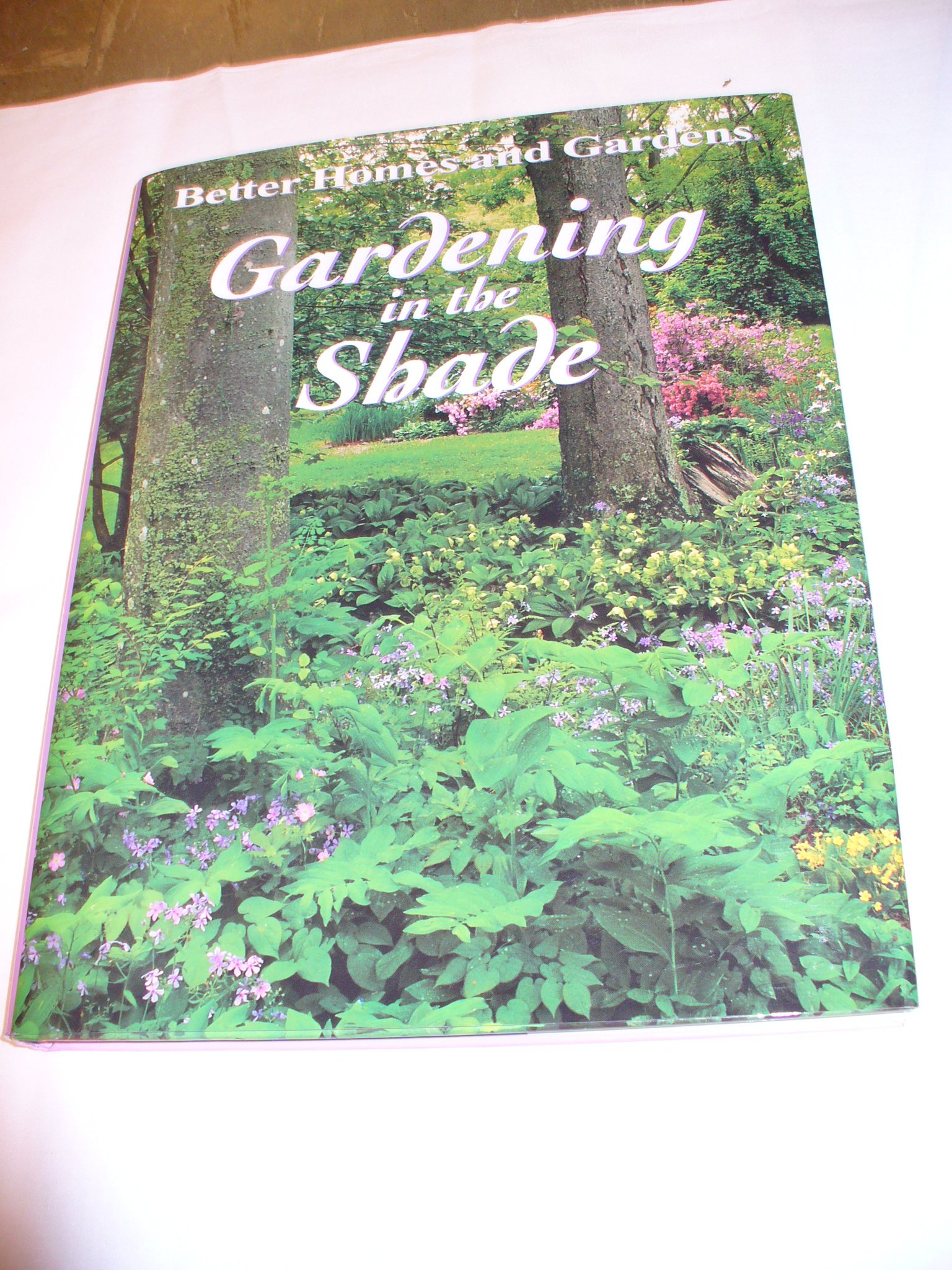 Best Shade-Tolerant Plants for Gardening | Low-Light Garden Solutions for Home & Outdoor Spaces