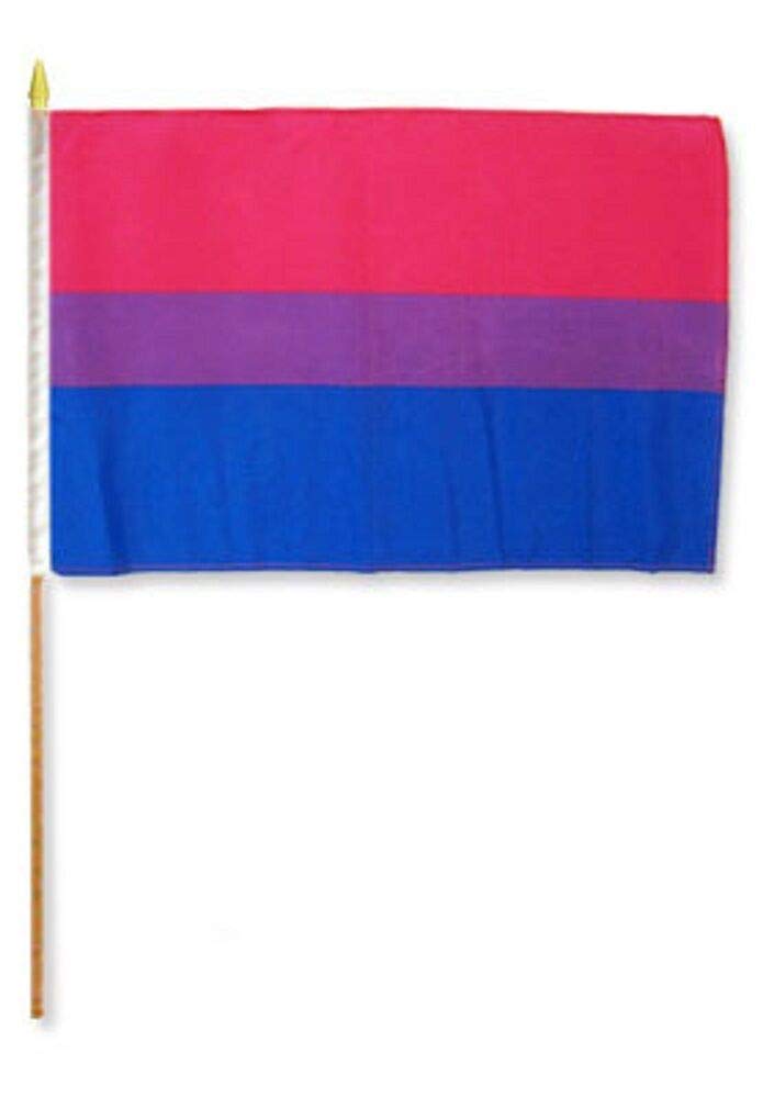 LGBTQ Pride Flag 12x18 Inches - Set of 6 Bisexual Bi Stick Flags with Wooden Staff - Perfect for Pride Parades, Home Decor & LGBTQ Events