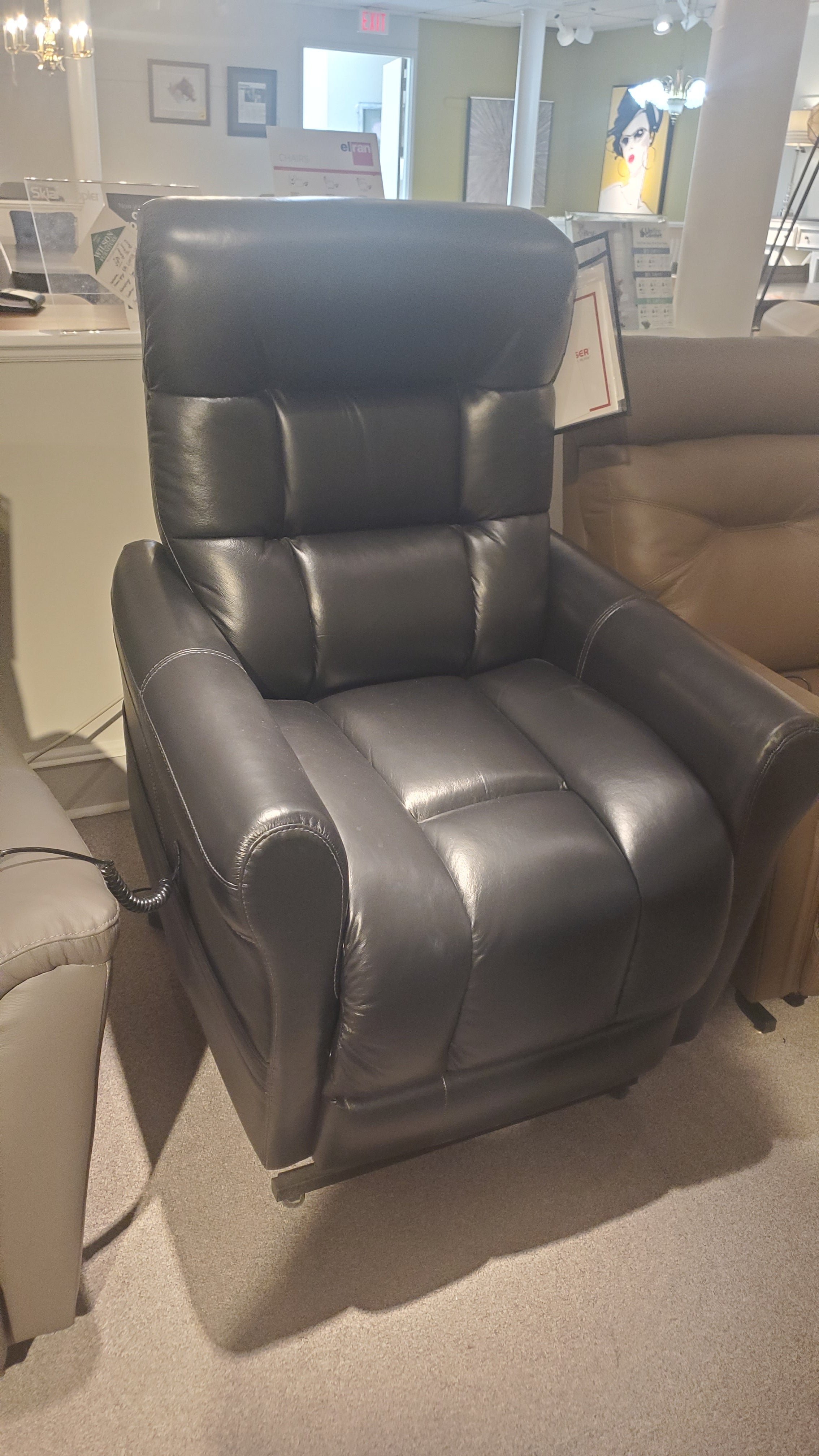 Palliser Power Lift Recliner Chair - Electric Reclining Sofa with Remote Control for Elderly & Mobility Assistance - Perfect for Living Room, Home Theater & Recovery Use