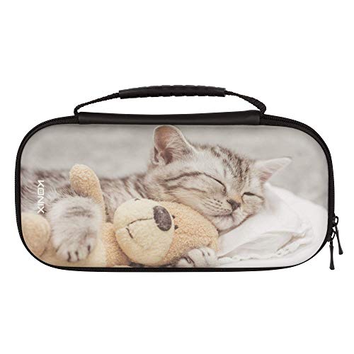 Gris - Chaton