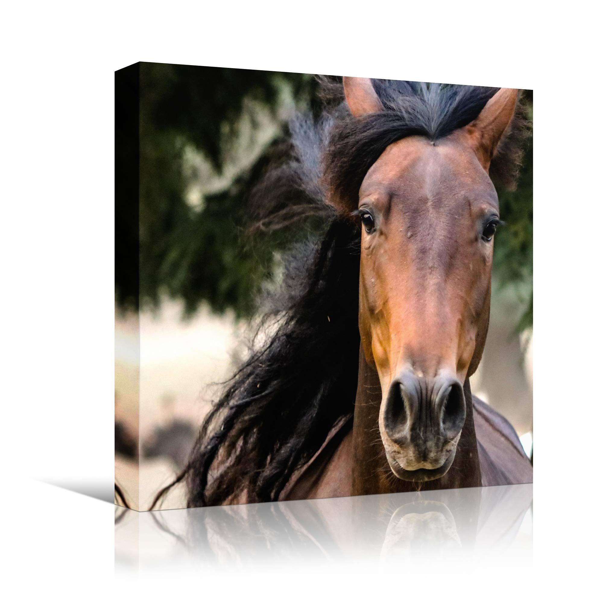 BestDeal Depot Horse XI Animals Dramatic Farmhouse Wall Art Print - 12x12 Inch Country Style Photography for Living Room & Bedroom Decor - Ready to Hang - Perfect for Rustic Home, Western Theme, or Equestrian Lover Gifts