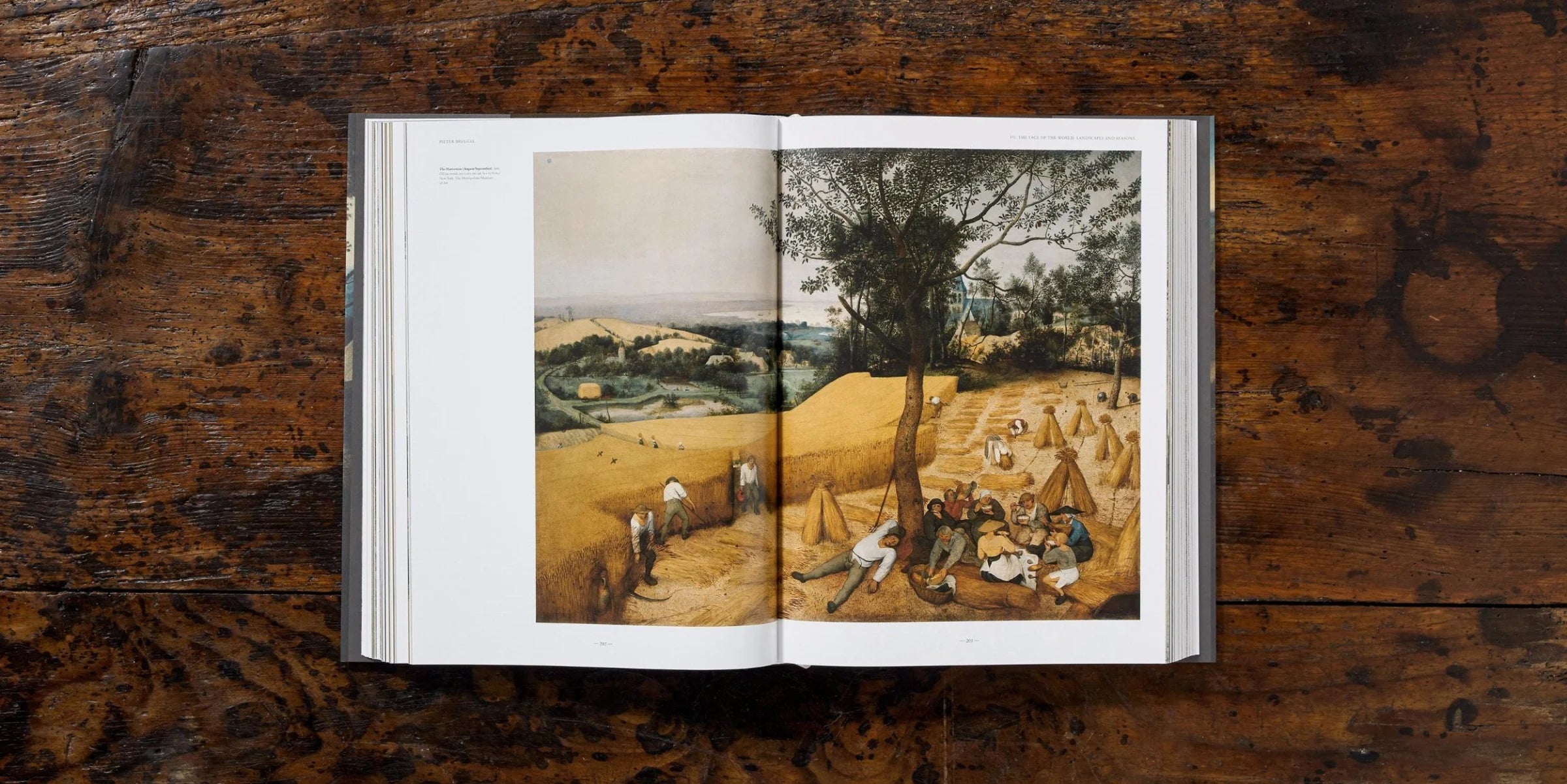 Bruegel: The Complete Works of Pieter Bruegel the Elder - Masterpiece Art Book for Collectors, Renaissance Art Lovers & Home Decor