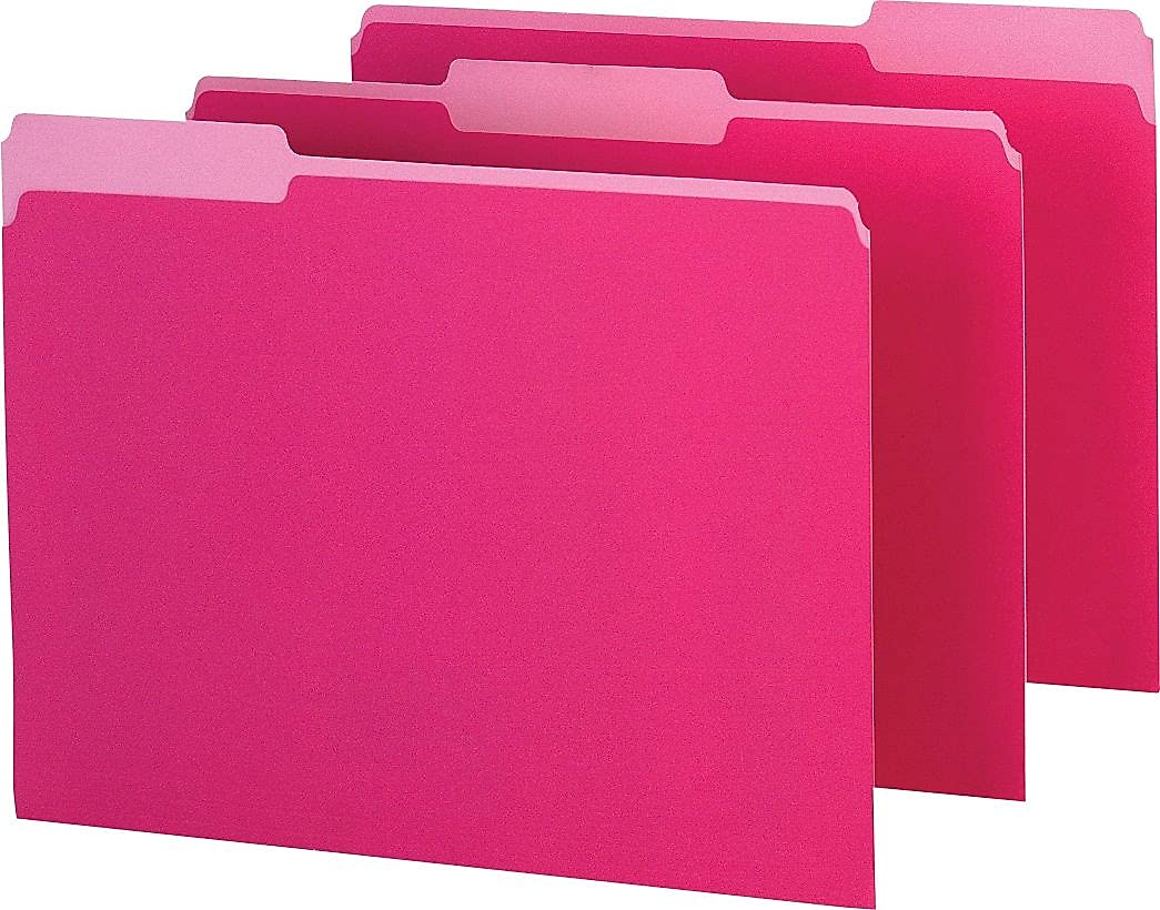 Pendaflex 421013PIN Interior File Folders - 1/3 Cut Top Tab Letter Size Pink Folders (100/Box) - Perfect for Office Organization, Document Filing & Home Office Supplies