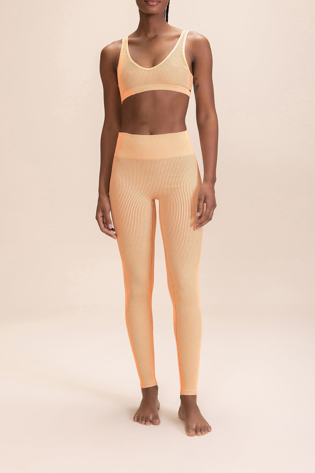 High Waist Rib Seamless Leggings for Women - Comfortable Stretchy Yoga Pants - Perfect for Workout, Running, Lounge & Everyday Wear