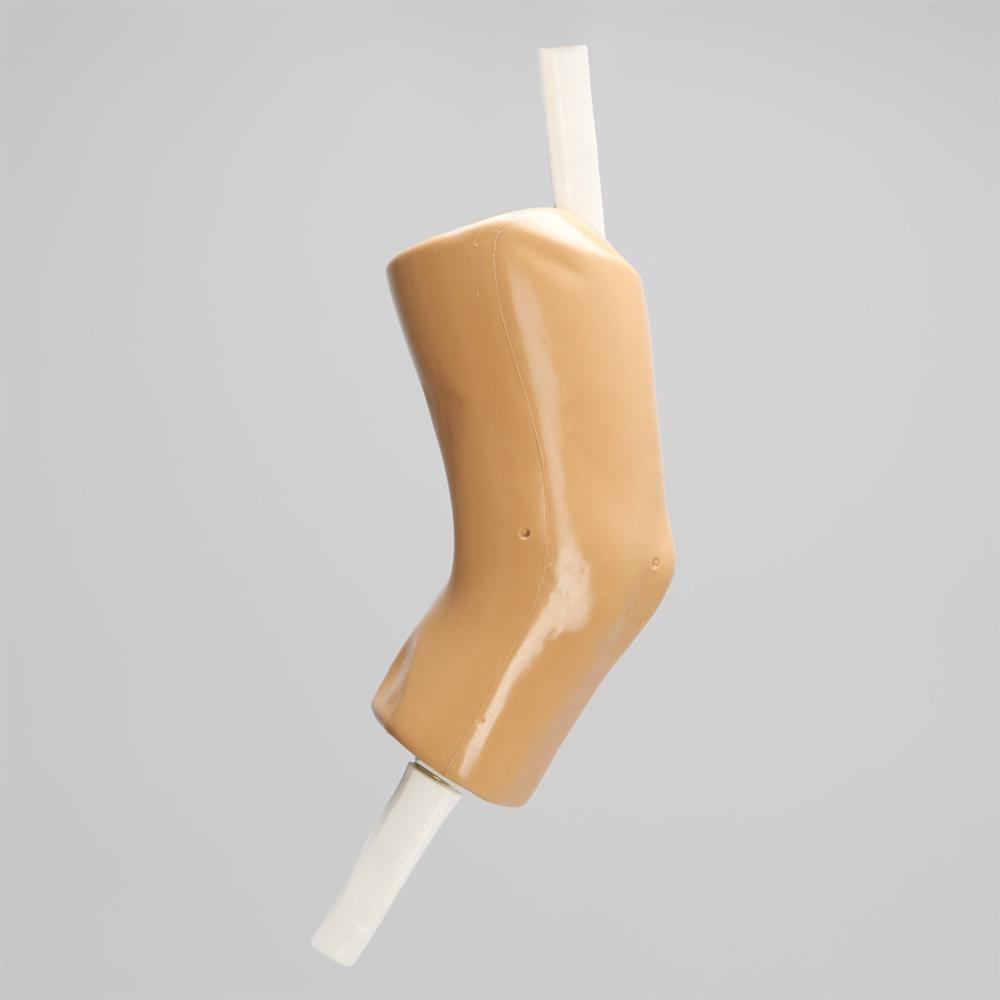 Dry Arthroscopy Knee Simulator - Medical Training Model for Orthopedic Surgeons | Practice Knee Surgery Techniques | Ideal for Medical Schools & Surgical Training Centers