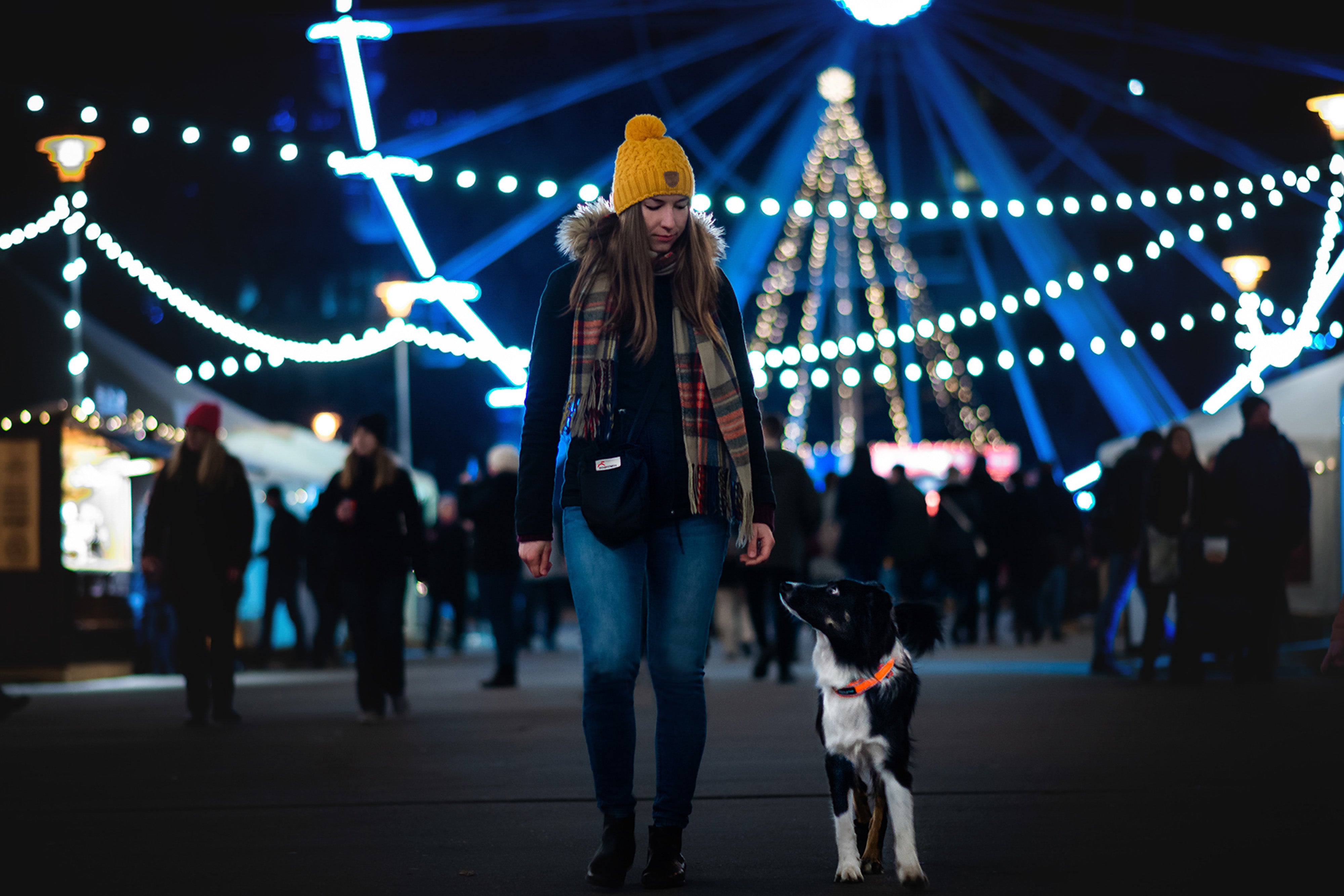 Non Stop Dog Wear: Reflective Safety Dog Collar with Quick Release Buckle for Night Walks and Outdoor Adventures