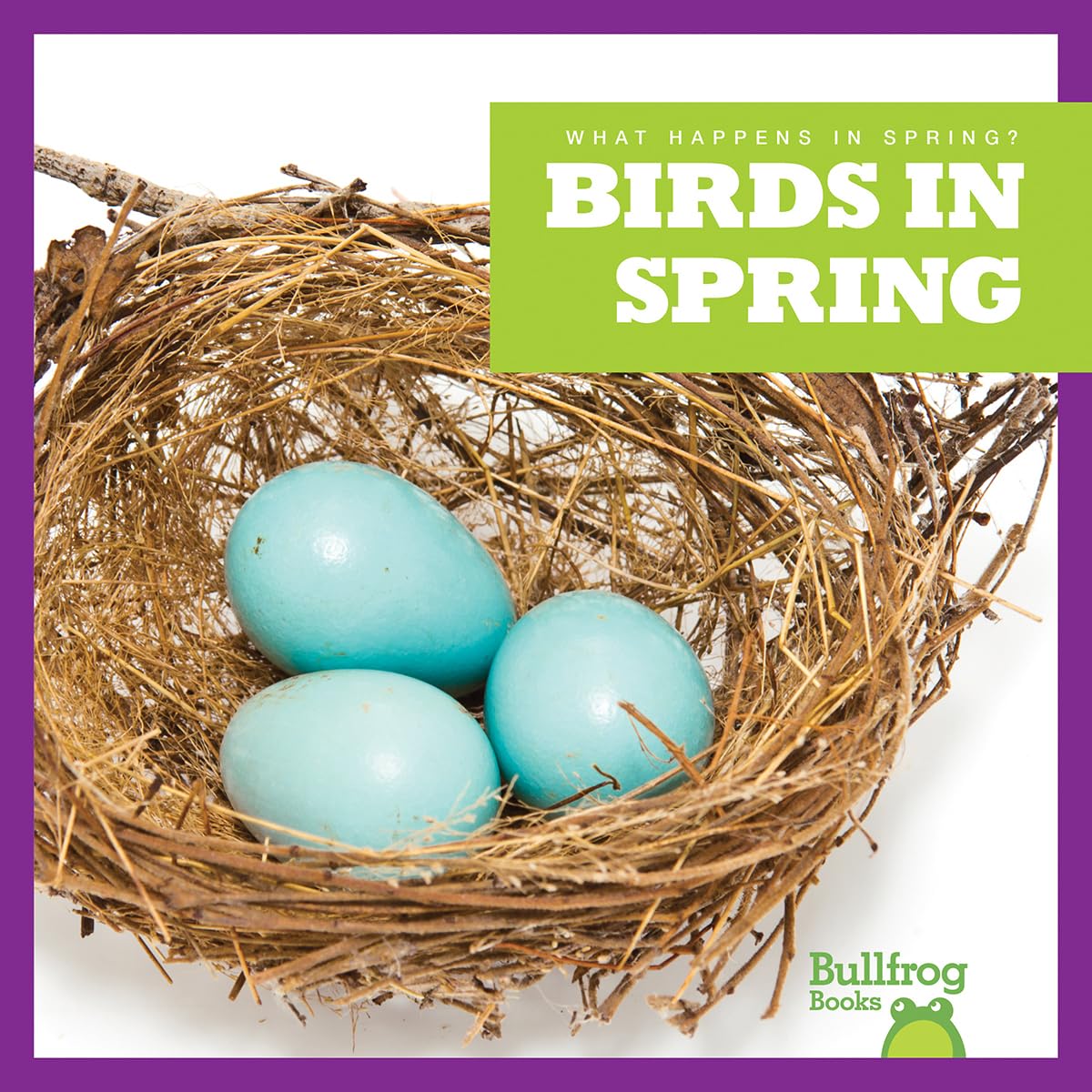 Birds in Spring - Bullfrog Books: Seasonal Changes & Nature Activities for Kids | Spring Wildlife Observation & Outdoor Learning