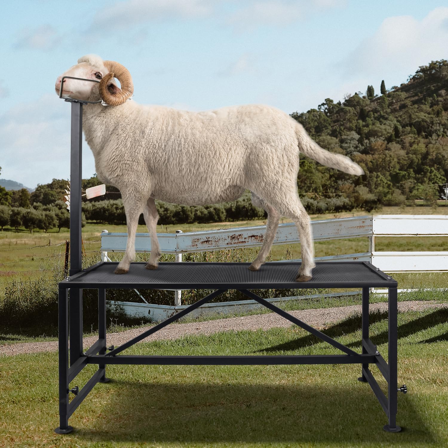 Adjustable Metal Goat Milking Stand for Sheep & Livestock - Heavy Duty Trimming & Shearing Stand with Adjustable Headpiece & Height (Black) - Perfect for Farm, Ranch & Homestead Use