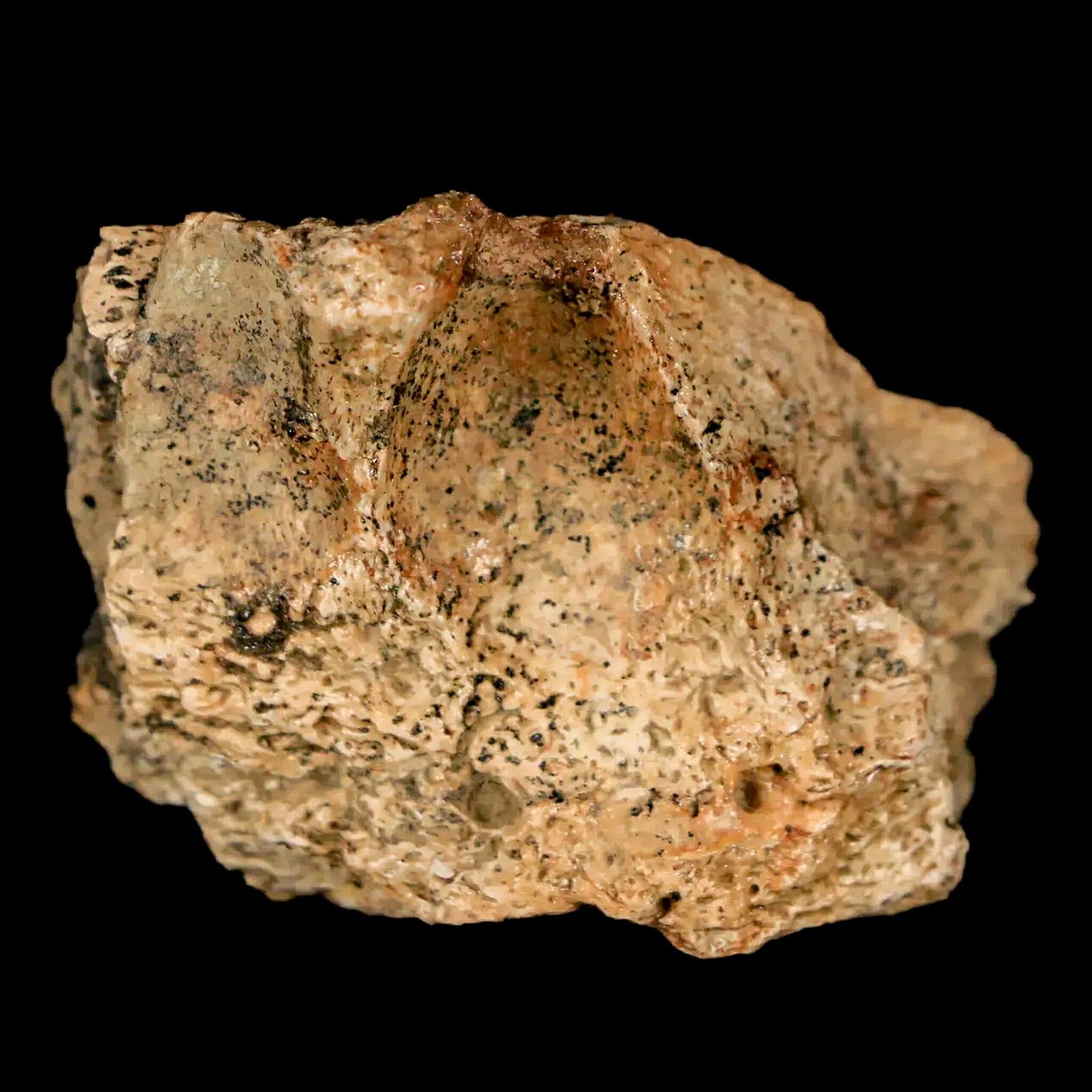 1.7