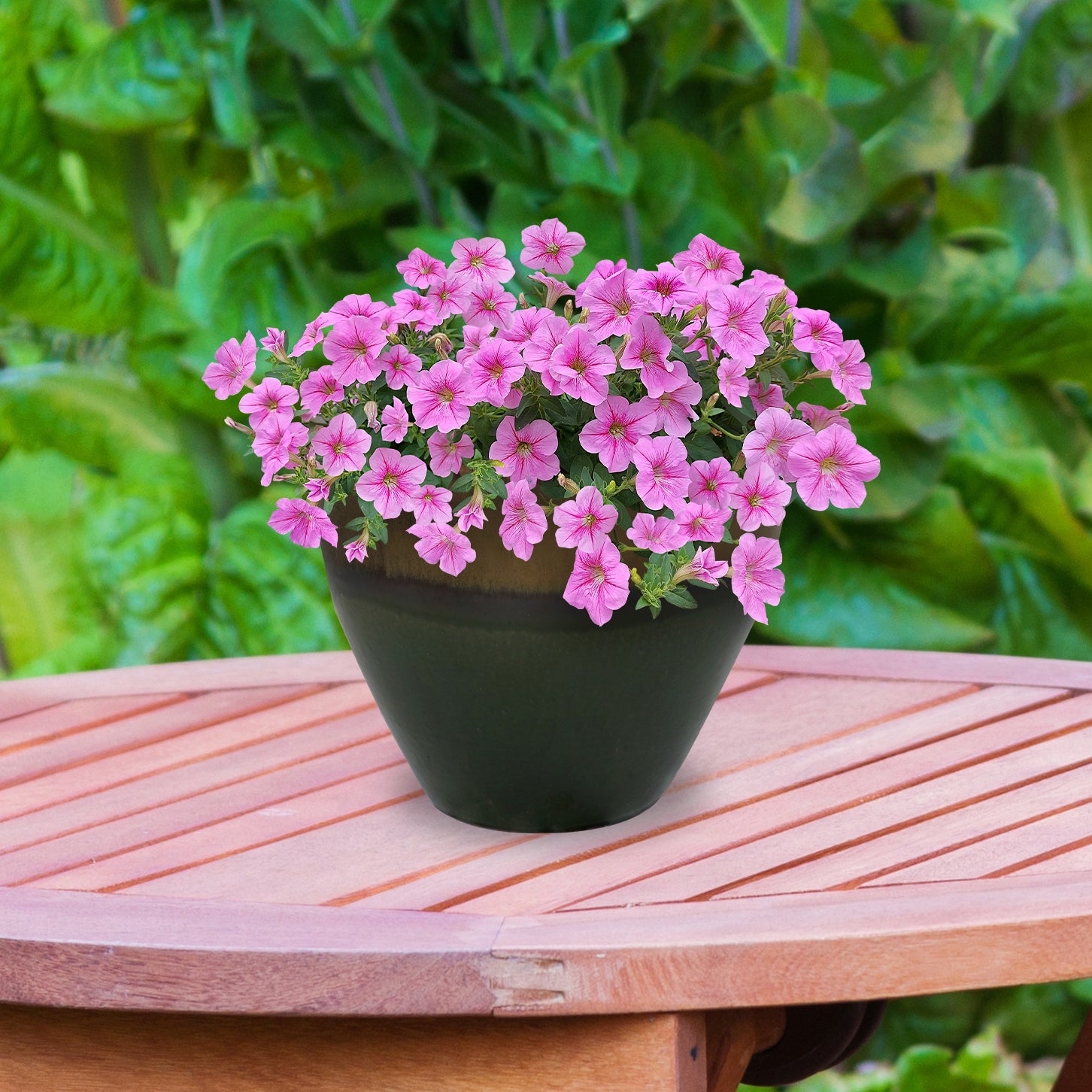 Sunnydaze Resort Round Glazed Ceramic Planter with Drainage Hole - Outdoor Garden Flower Pot for Patio, Deck & Balcony Decor